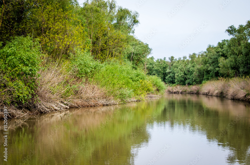 Canal with trees and vegetation reflected in the water. Specific landscape of this area.