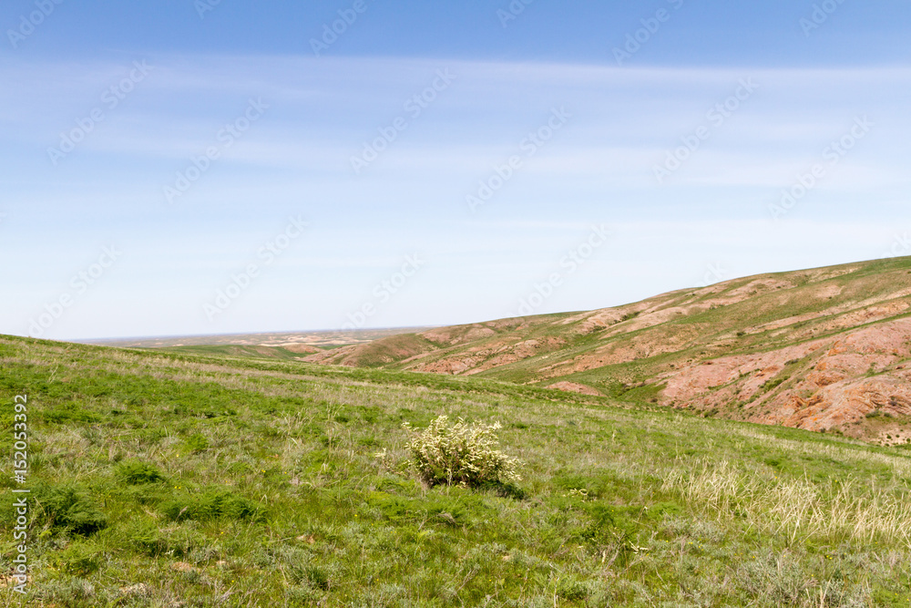 Fototapeta premium Steppe in Kazakhstan