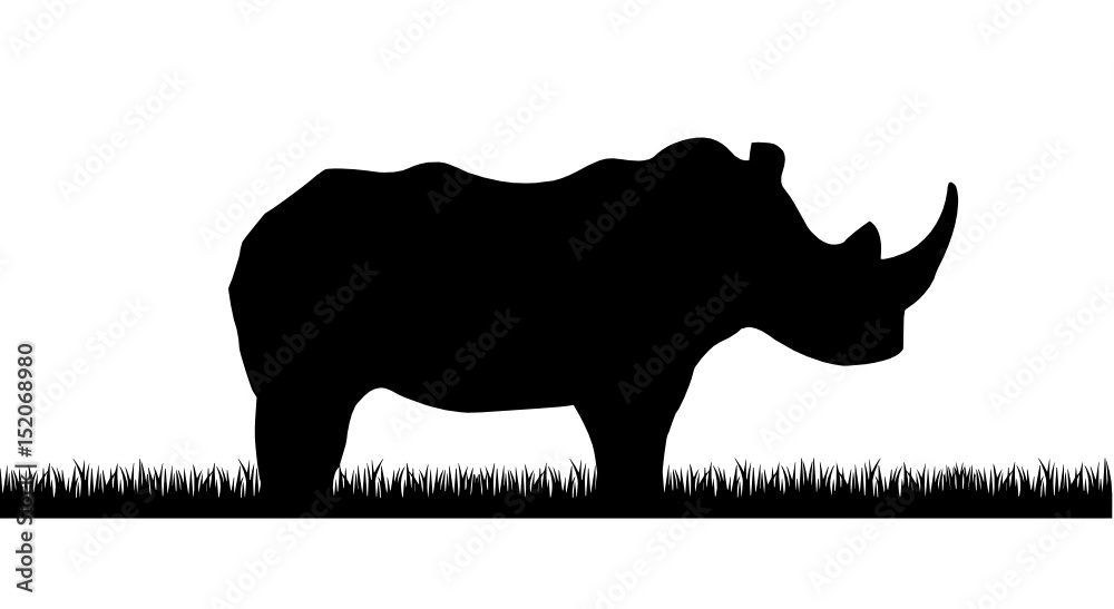 Nashorn Silhouette
