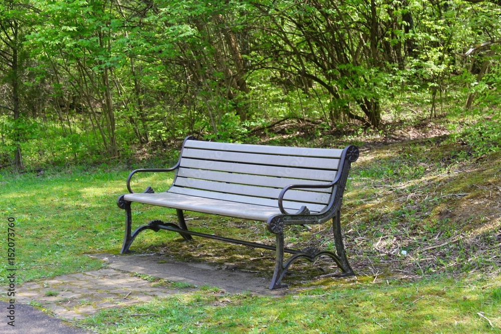 The empty park bench on a close view.