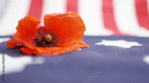 Memorial Day. Poppy on United States of America Flag.