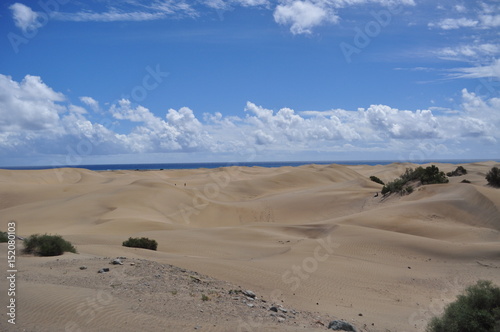 Dunas de Maspalomas