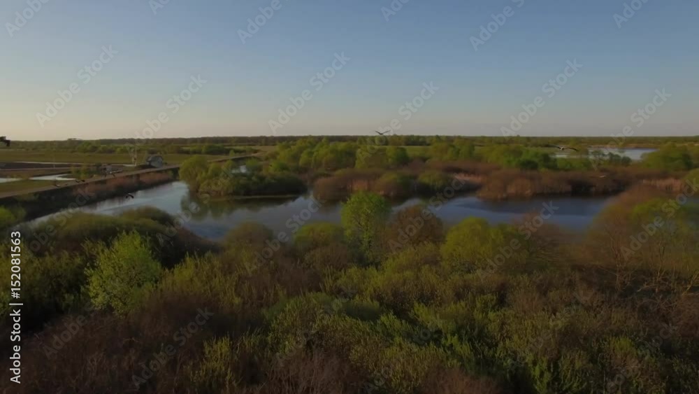 Storks flight close followed by drone copter at lake water in swampy bush area real aerial video 4k. Flock of birds fly above spring flooded river - seasonal migration birdwatching
Storks flight close followed by drone copter at lake water in swampy bush area real aerial video 4k. Flock of birds fly above spring flooded river - seasonal migration birdwatching