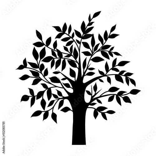 abstract black tree  isolated natural plant sign  silhouette vector