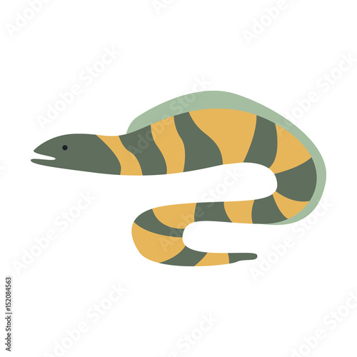 Grey And Yellow Stripy Moray Eel, Part Of Mediterranean Sea Marine Animals And Reef Life Illustrations Series