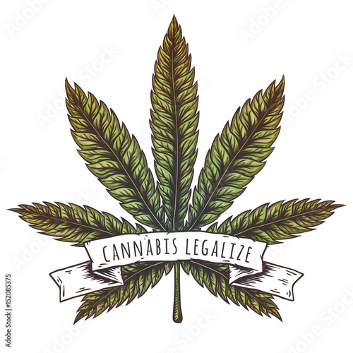 Cannabis leaf vector illustration.