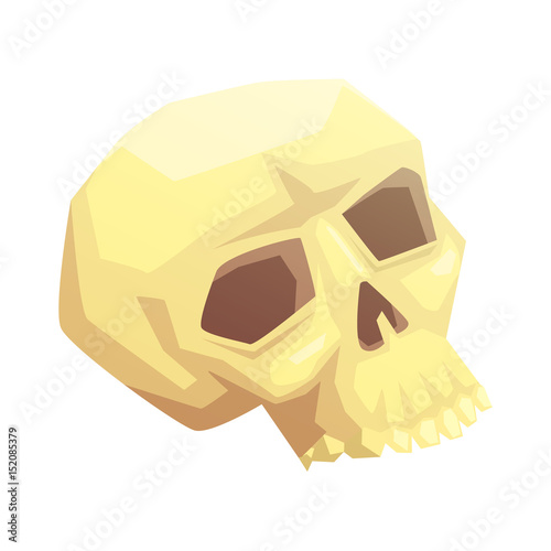 Human skull bone, vector illustration