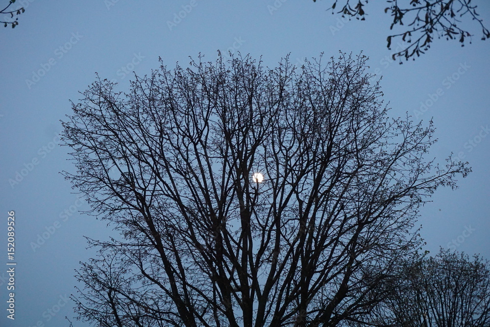 Mond / Moon Mond / Moon