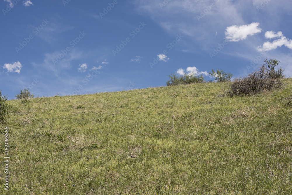 Green grassland and blue summer sky