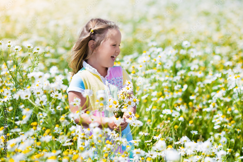 Little girl picking flowers in daisy field Little girl picking flowers in daisy field