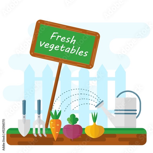 bed with fresh vegetables