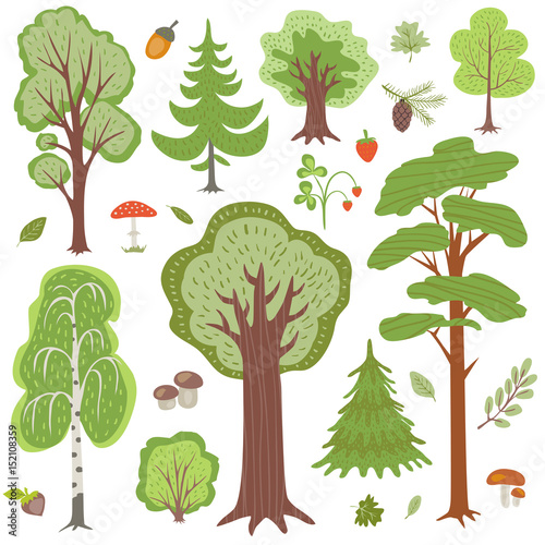 Forest trees, plants and mushrooms, other woodland floral vector elements