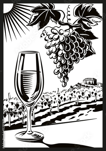 Glass of white wine placed on a shelf and a bunch of ripe grapes. In the background a vineyard on the hills
