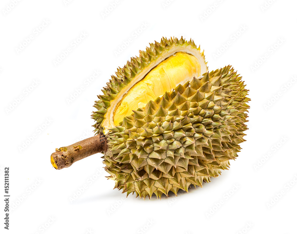 Durian Mon Thong thai fruit isolated in white background Stock Photo ...