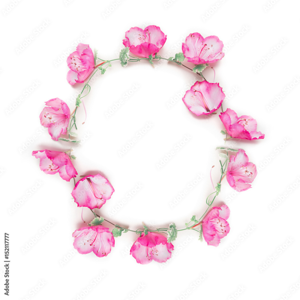 Floral frame wreath with pink flower buds, branches and leaves on climbing plant on white background, top view, copy space Floral frame wreath with pink flower buds, branches and leaves on climbing plant on white background, top view, copy space