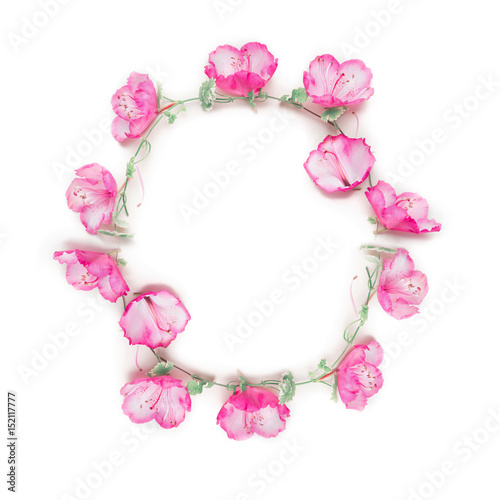 Fototapeta Naklejka Na Ścianę i Meble -  Floral frame wreath with pink flower buds, branches and leaves on climbing plant on white background, top view, copy space