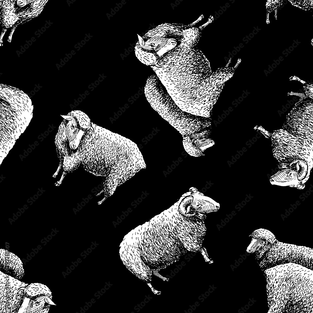 Fototapeta premium Pattern with sheep