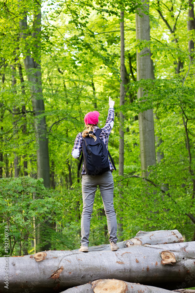 Young female tourist standing on the woods in the forest and pointing to the trees. Hiking woman showing something in the top of a tree. Young female tourist standing on the woods in the forest and pointing to the trees. Hiking woman showing something in the top of a tree.