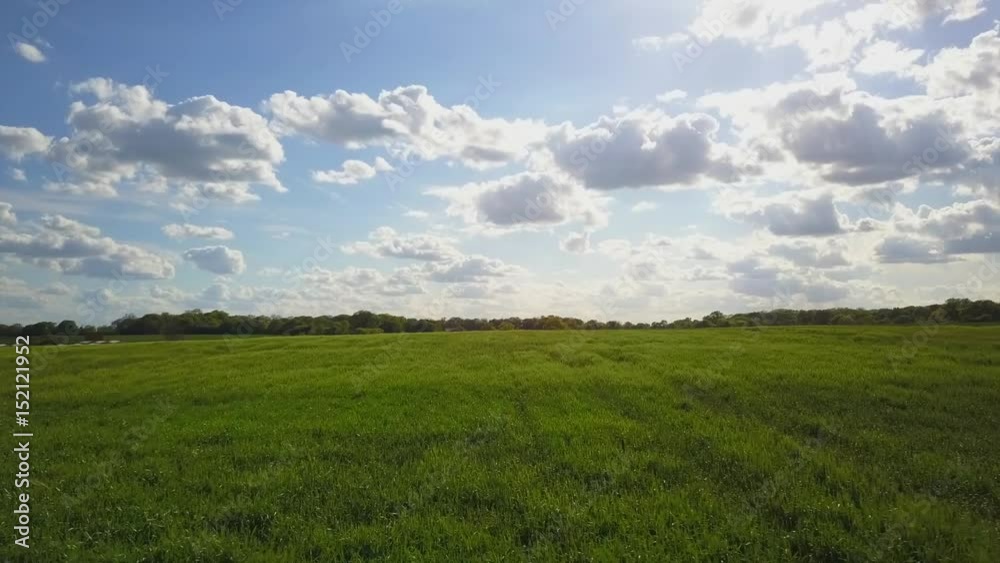 Flying over a field of green crops drone shot Flying over a field of green crops drone shot