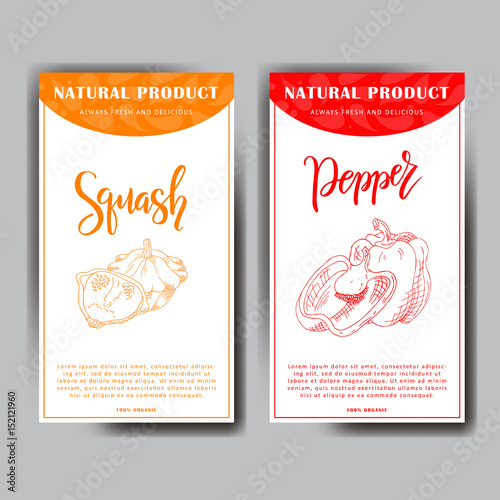 Colorful sketch vegetable. Healthy food poster. Farmers market design with squash and pepper. Vector illustration.
