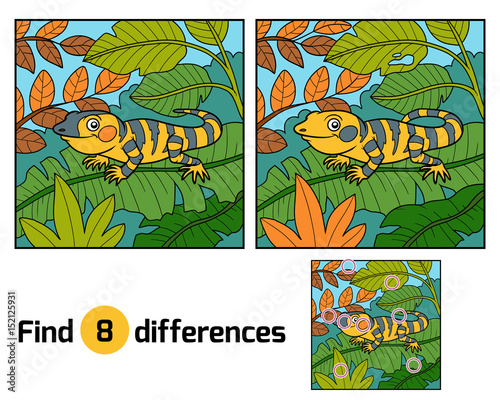 Find differences, Xenosaurus
