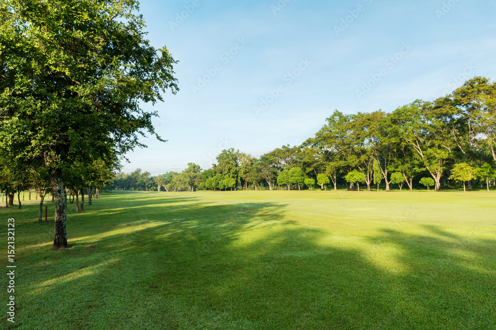 Beautiful green nature and meadow at the park