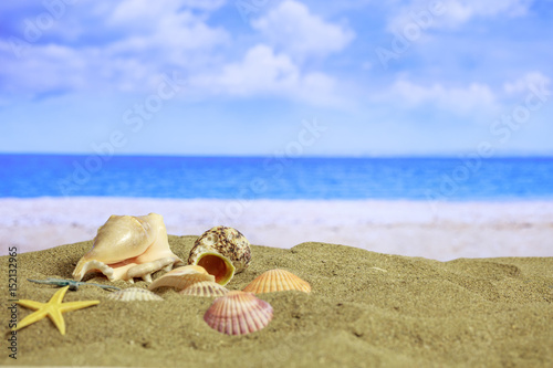 Sandy beach - summer vacations concept