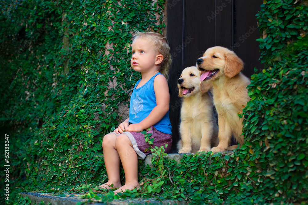 Little boy with store golden retriever puppies