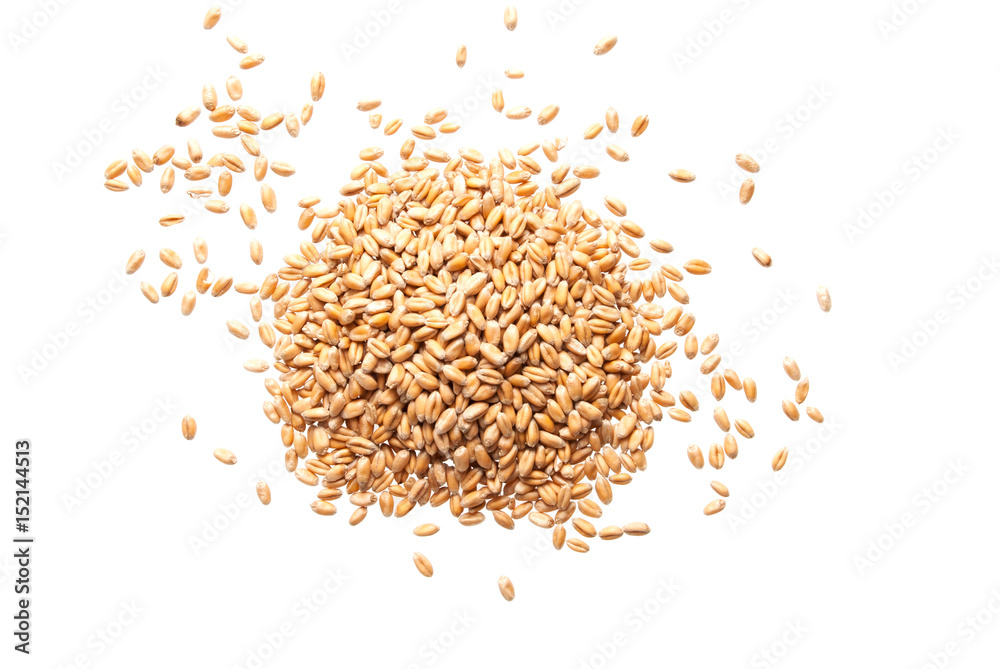 Heap of wheat seeds isolated on white background - obrazy, fototapety, plakaty 