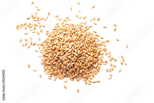 Stampa su tela Heap of wheat seeds isolated on white background