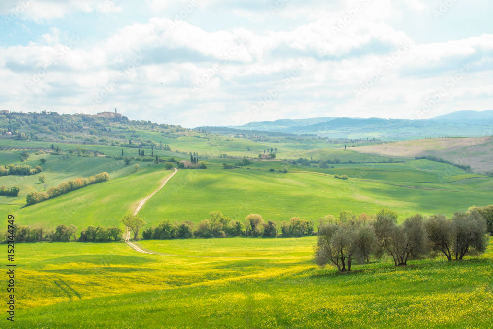 Obraz premium Landscape of tuscan countryside