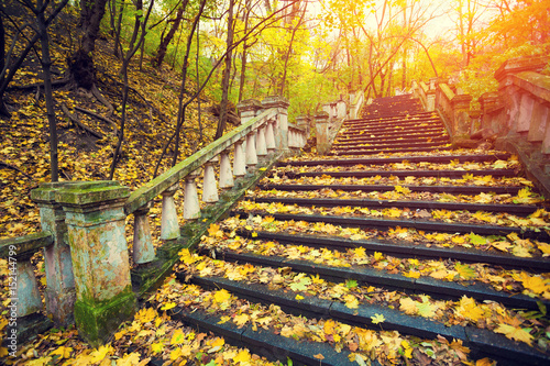 Park at sunrise. Stairways covered with fallen leaves