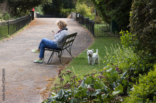 Rest in the park. A woman is sitting on a bench and looking at her mobile phone. And her pretty little white dog walks nearby on the lawn. A concept: modern people cannot live without mobile phones. 