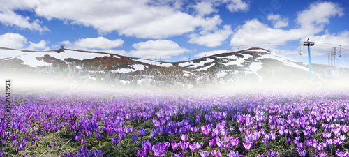 Dragobrat, the spring Carpathians