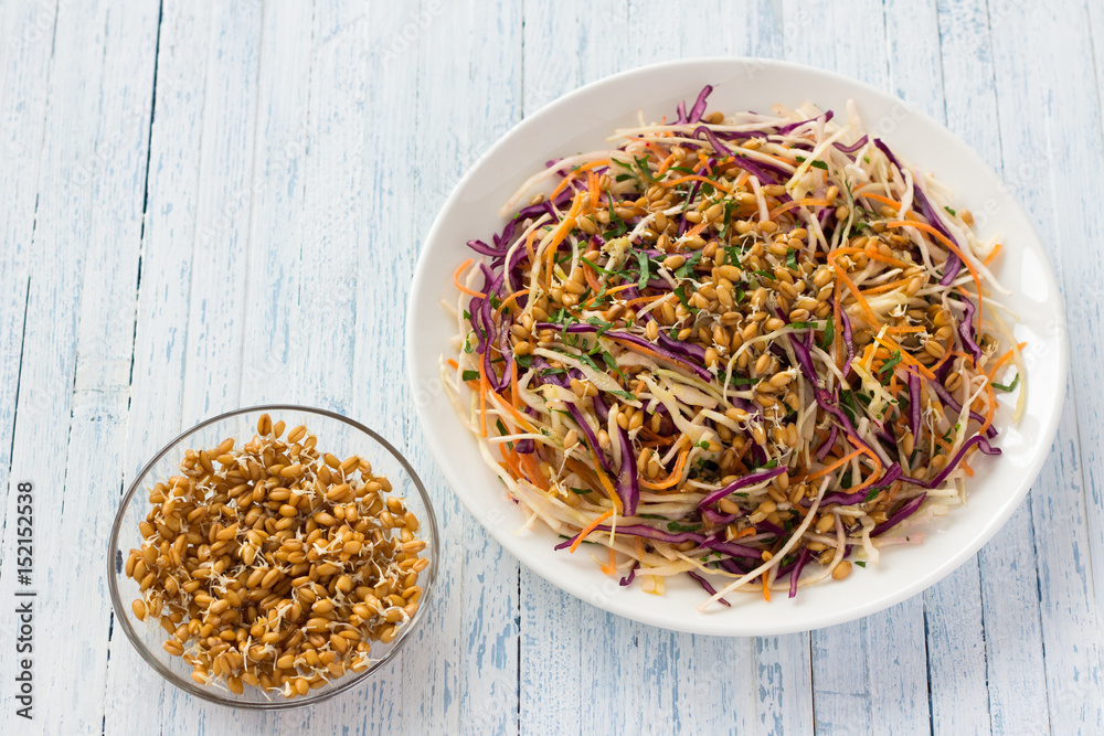 Salad Cole slaw with red cabbage and wheat sprouts. Healthy detox food. On a blue wooden background