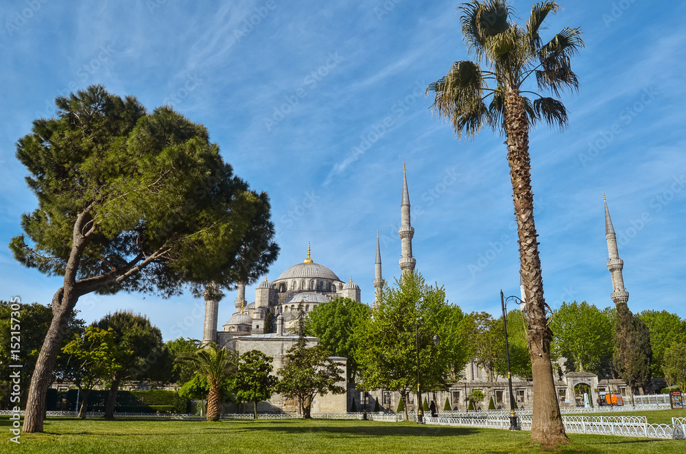 Blue mosque with green park, Istanbul, Turkey. Architectural monument. Center of Islam. Cami. Mescit. 