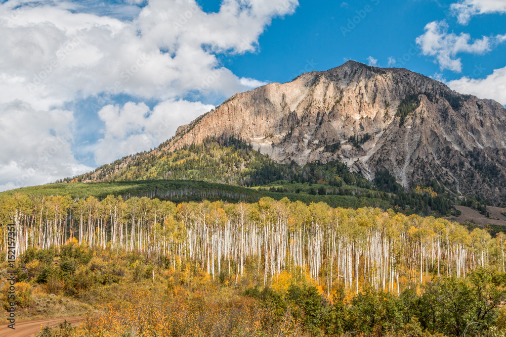 Autumn Landscape in the Colorado Mountains