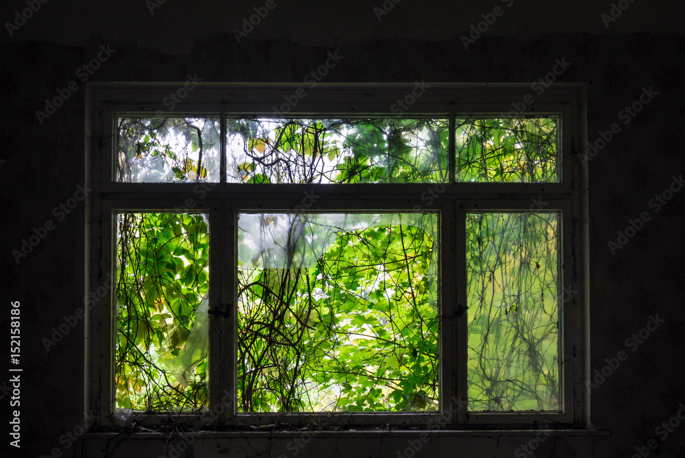 The old and ruined widow of building, lost places The old and ruined widow of building, lost places