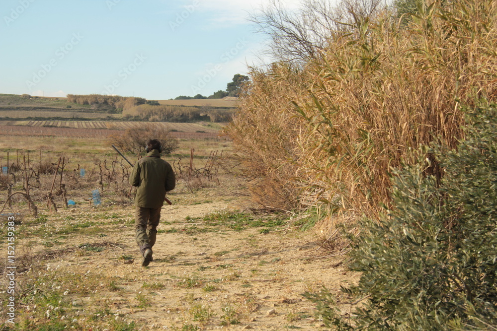 chasse chasse