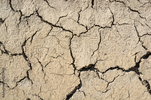Cracked dry land in a desert