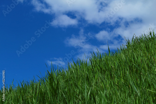 Up to the goal. Blue sky, green grass.