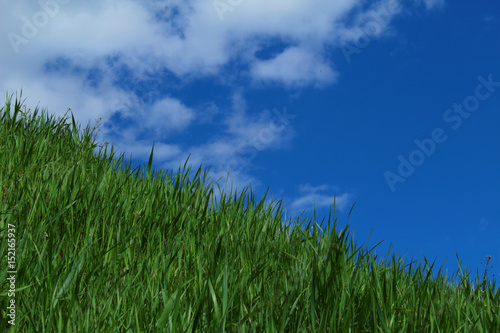 Blue sky, green grass slope.