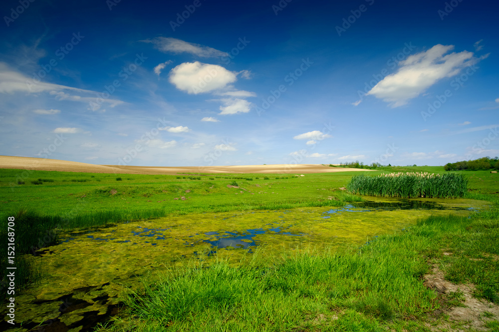 Obraz premium Pond on the pasture