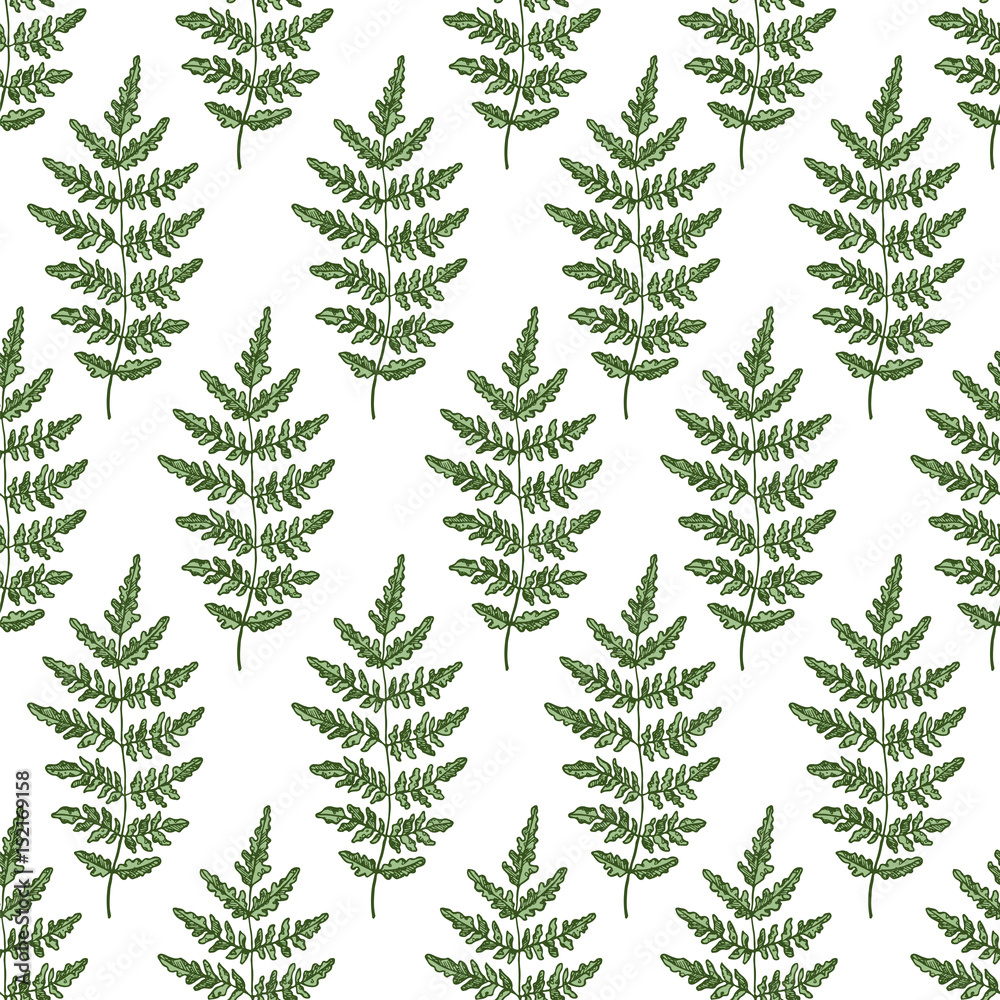 Wild plants seamless pattern. Botanical fern background. Vector illustration
