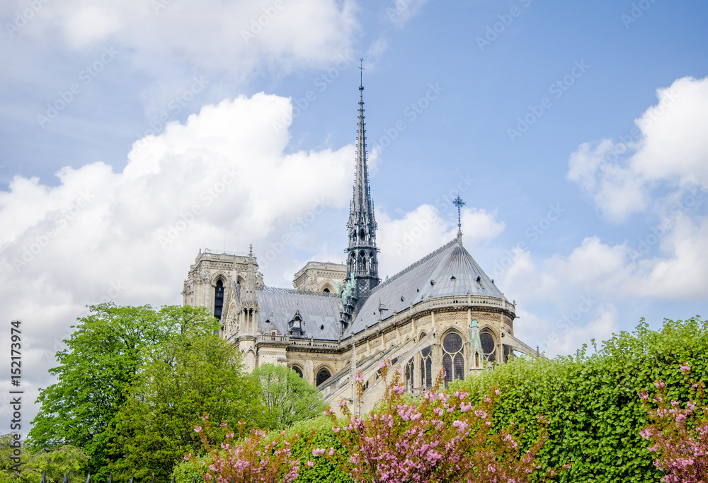 Notre Dame de Paris cathedral view of the east and south facades with beautiful flowers and trees on a sunny spirng day in this wonderful European citywith the flying buttresses and the spireâ Notre Dame de Paris cathedral view of the east and south facades with beautiful flowers and trees on a sunny spirng day in this wonderful European citywith the flying buttresses and the spireâ