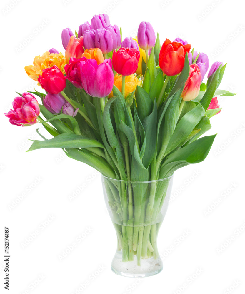 bouquet of bright fresh spring tulips in vase isolated on white background