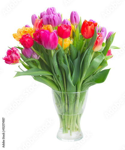 bouquet of bright fresh spring tulips in vase isolated on white background