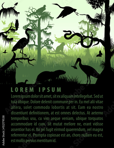 vector rainforest wetland silhouettes in sunset design template with heron, otter, python, ibis. puma, eagle and owl