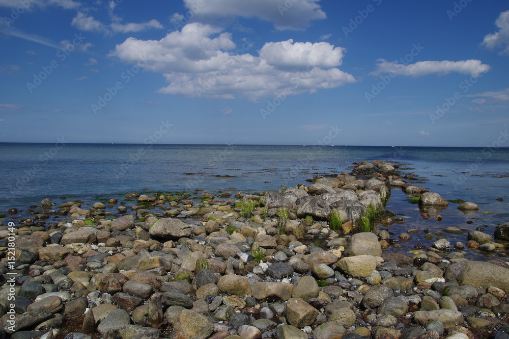 Bune an der Ostsee