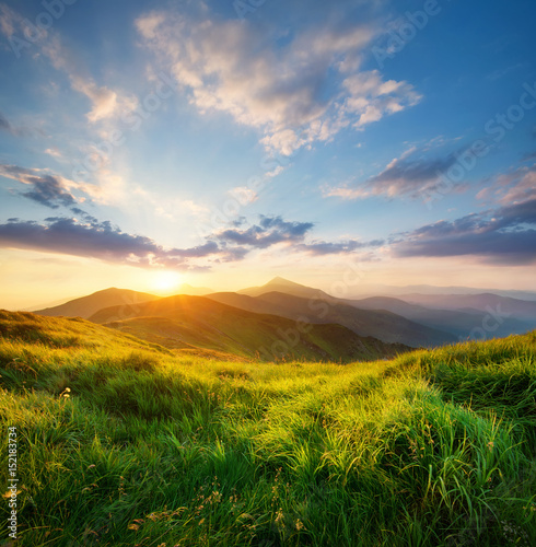 Field with flower in the mountain valley. Beautiful natural landscape in the summer time